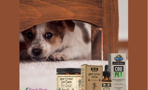 Herbalife Fresh Start Nutrition, Inc.