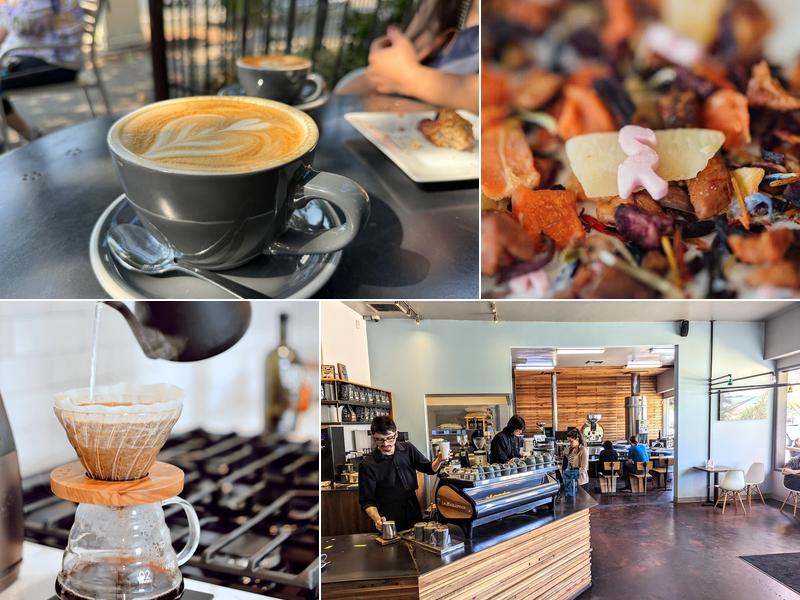 Chocolate Fish Coffee Roasters