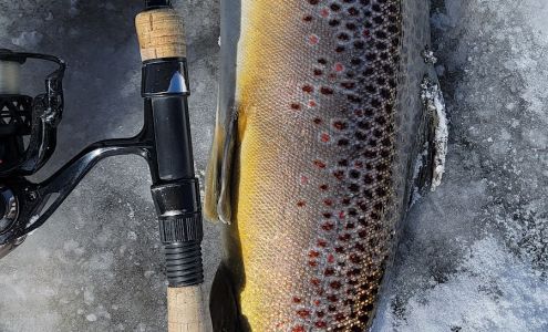 Dry Creek Outfitters Murtaugh