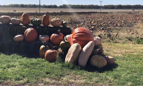 King Hill Farms Inc Brunswick