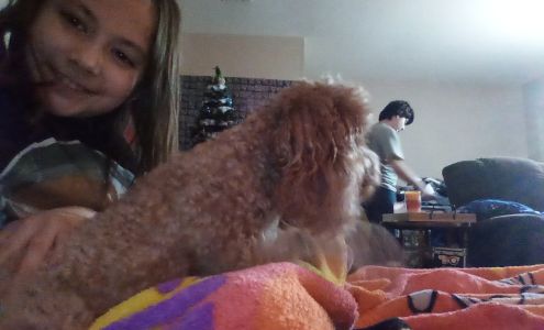 Locust Grove Feed Store Locust Grove