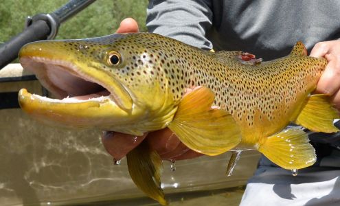 FishTales Outfitting Sheridan