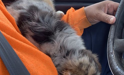 Grand Lake Smoke Shop