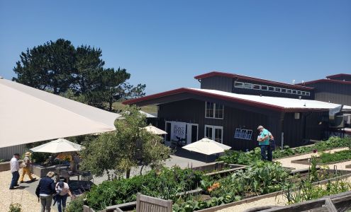 Point Reyes Farmstead Cheese Co Point Reyes Station