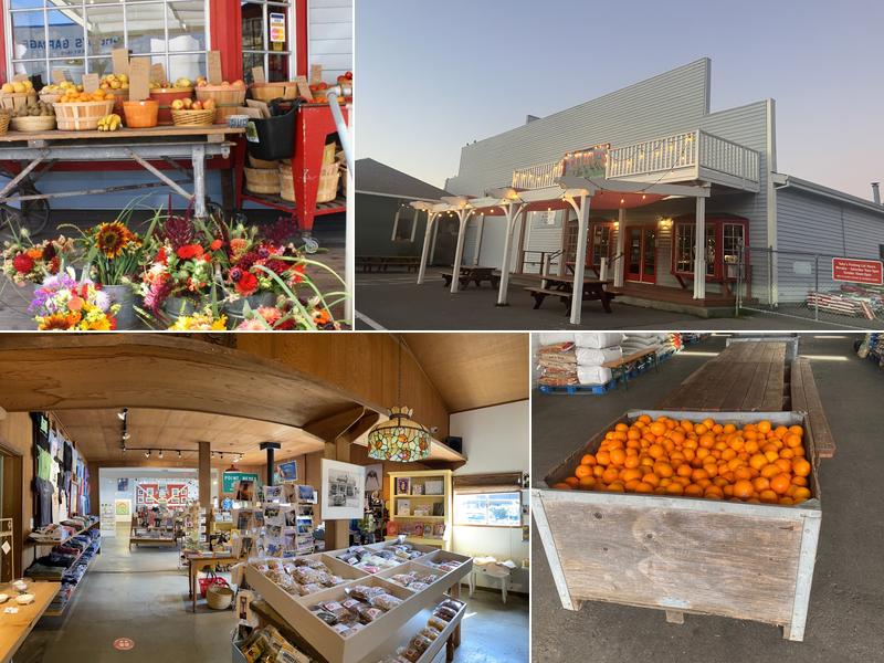 Toby's Feed Barn 11250 CA-1, Point Reyes Station