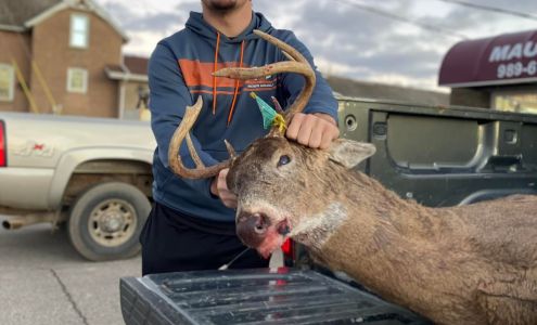 Maurer Meat Processors LLC Ubly