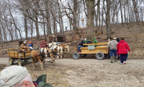 Green's Sugar Bush Castalia