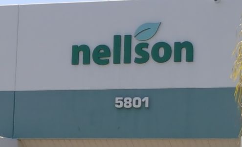 Nellson Candies Inc