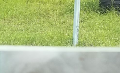 Florida International Florists