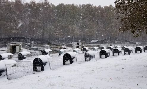 Pinnon Hatch Farms LLC Centralia
