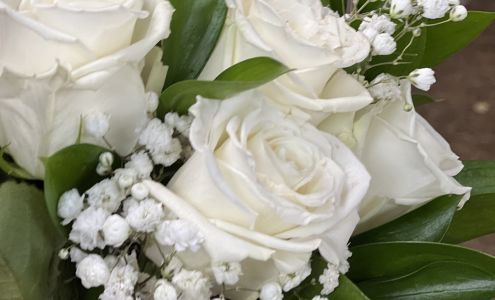 Bev's Baskets & Bows 609 Main, Greenfield Illinois 62044