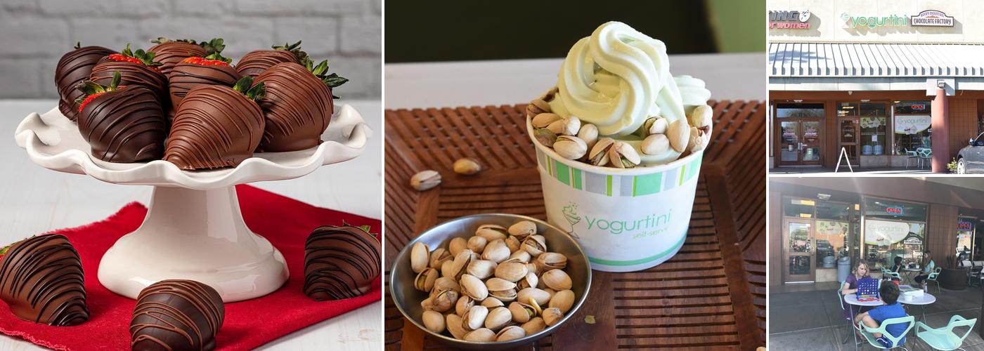 Yogurtini-Rmcf-Scottsdale