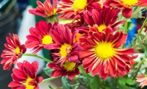 Lunsfords Flowers & Gifts