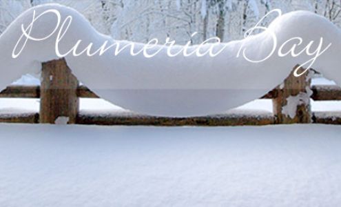 Plumeria Bay Concrete