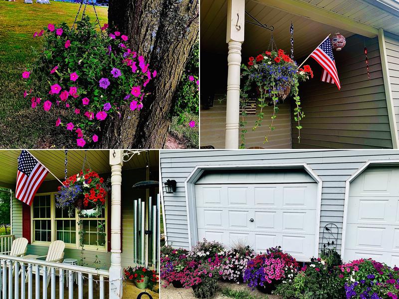 Creative Touch Floral & Greenhouse