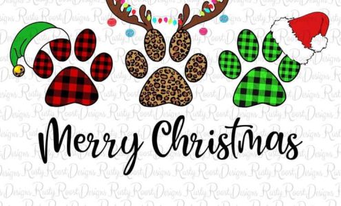 Main Street Floral Minneola