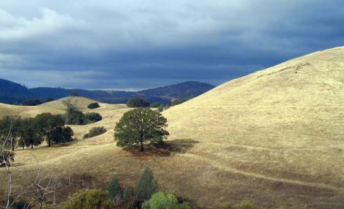 The Golden Gecko Garden Center Garden Valley