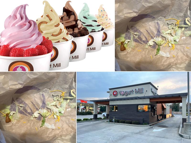 Yogurt Mill 2509 Oakdale Rd, Modesto