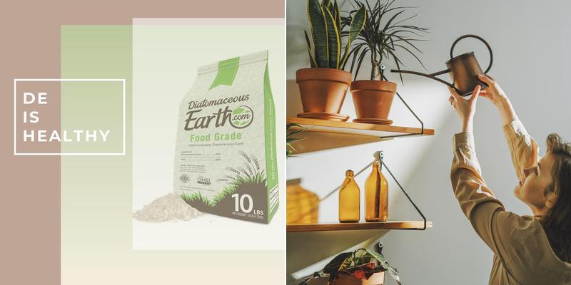 DiatomaceousEarth.com