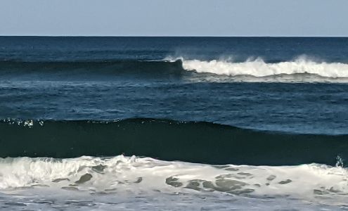 Ferguson Selection Center