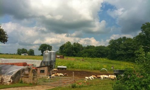 This Old Farm, Inc. Colfax