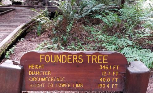 Humboldt Redwoods State Park Weott