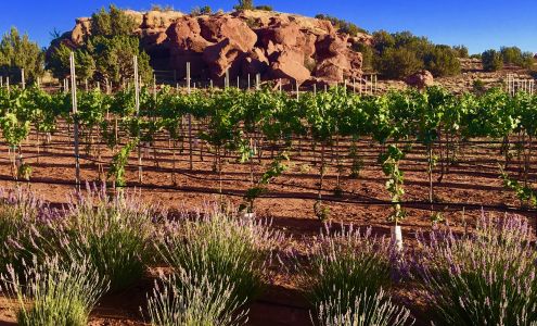 Red Rock Ranch & Farms LLC Concho