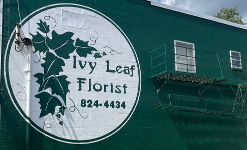 Ivy Leaf Florist 16 N Main St, Dry Ridge Kentucky 41035