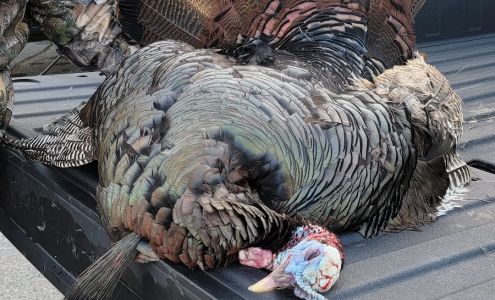 Ray's Corner Country Store Milan