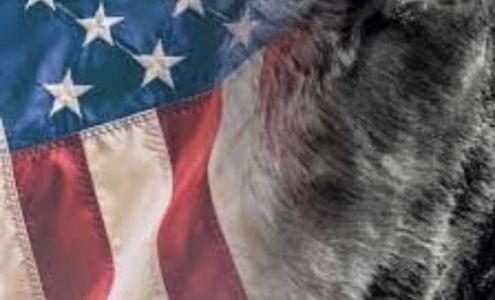 Ravenna Locker Ravenna