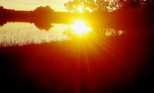 Mont Ida Meats Welda