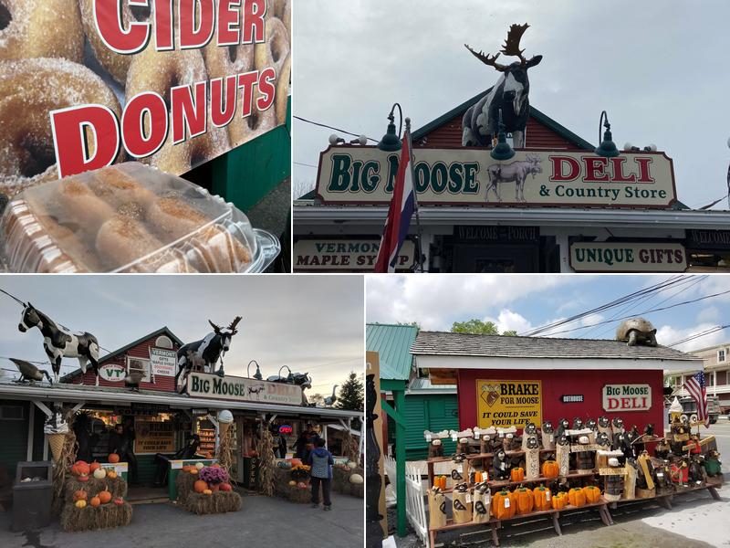 Big Moose Country Store