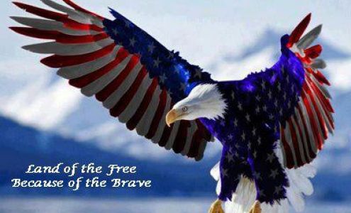 Hawkeye Trader Pulaski