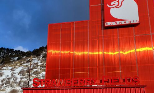 Strawberry Fields Cannabis Downieville Dumont