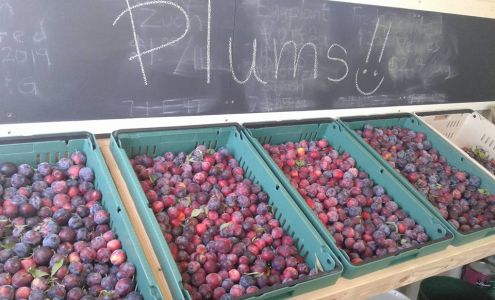 Old Town Frame Company