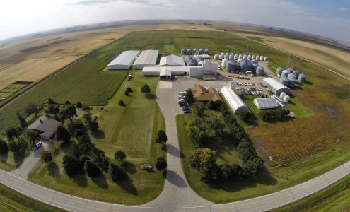 Latham Hi-Tech Seeds Alexander