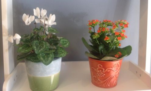 Marian's Creative Gifts Eureka