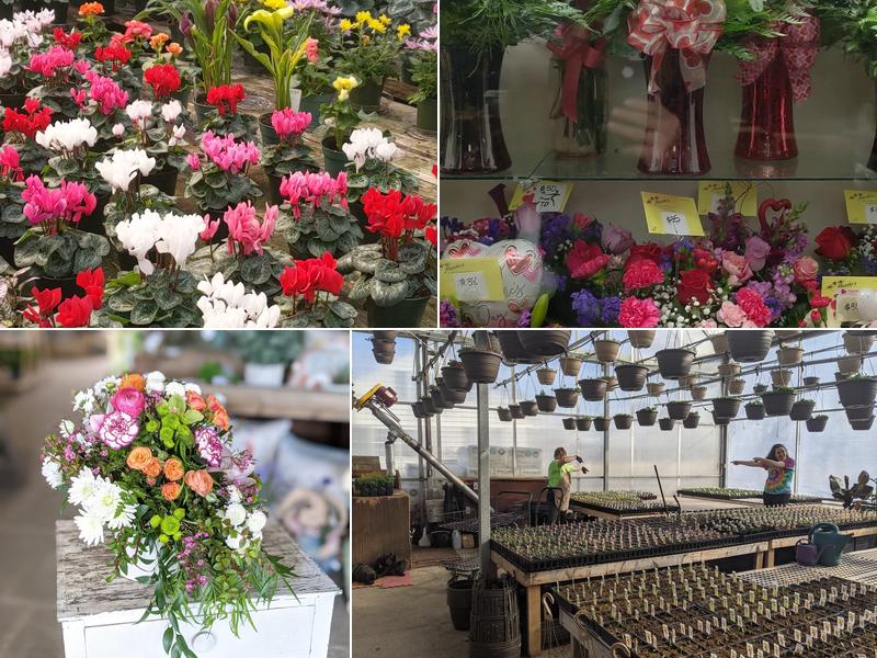 Marcho's Florist and Greenhouses