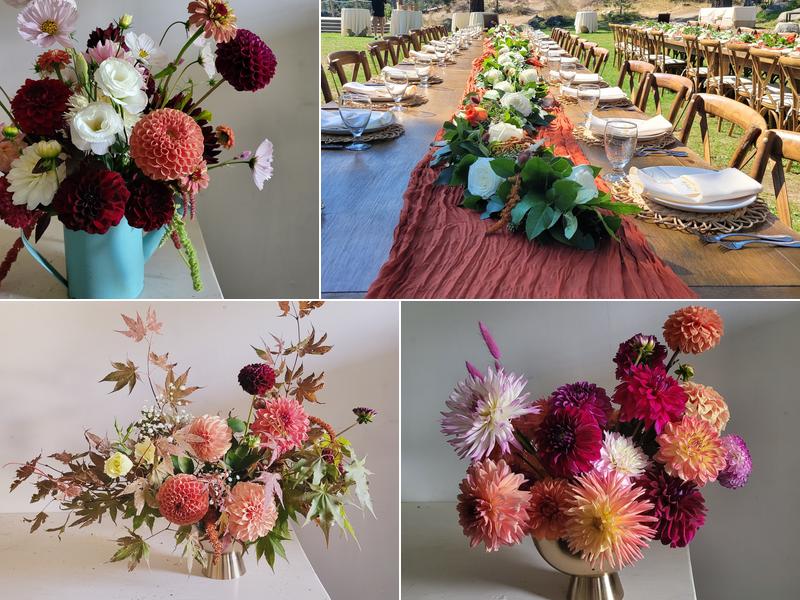 Bloom Baby (formerly Full Bloom)