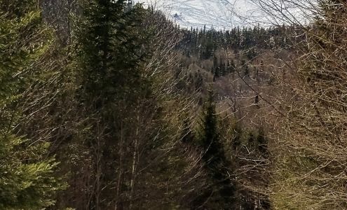 Pittsburg Ridge Runners Pittsburg