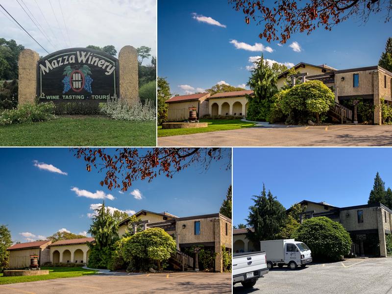 Mazza Vineyards