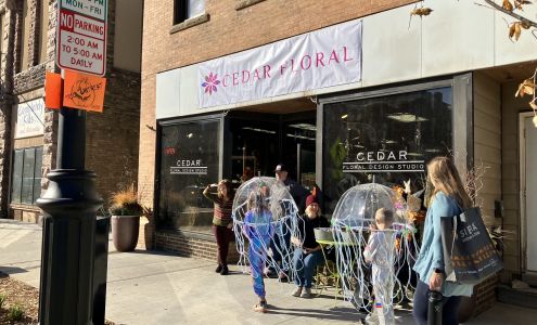 Cedar Floral