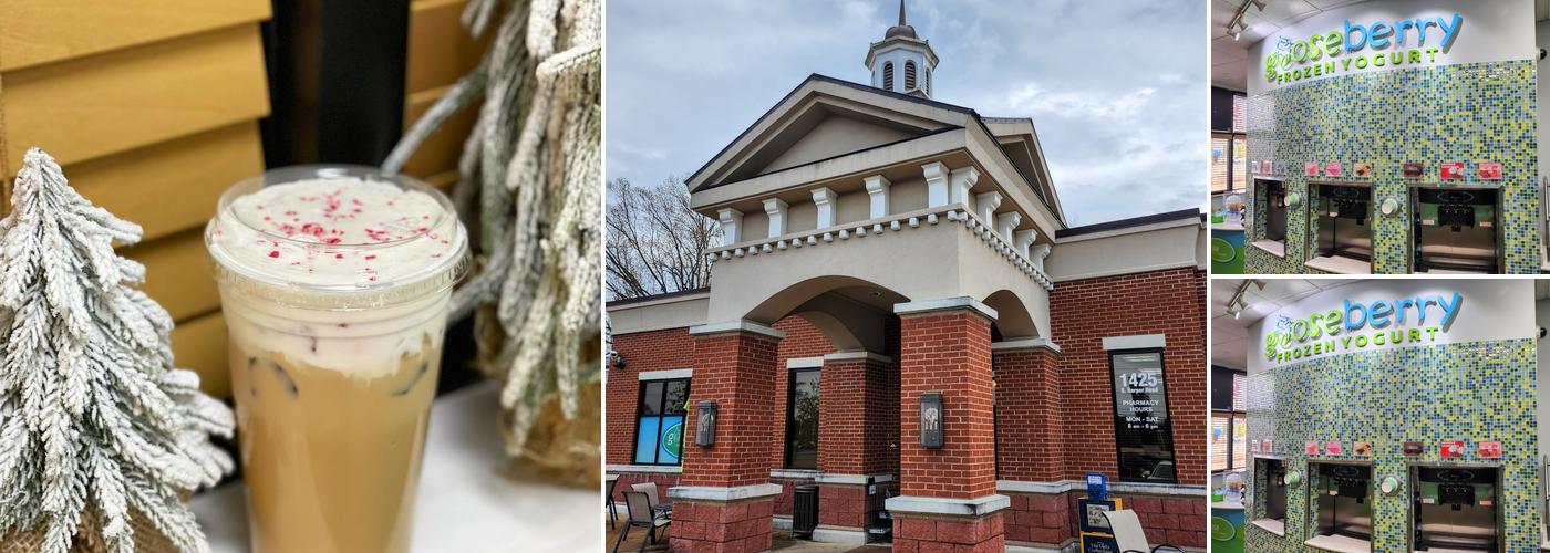 Gooseberry Frozen Yogurt