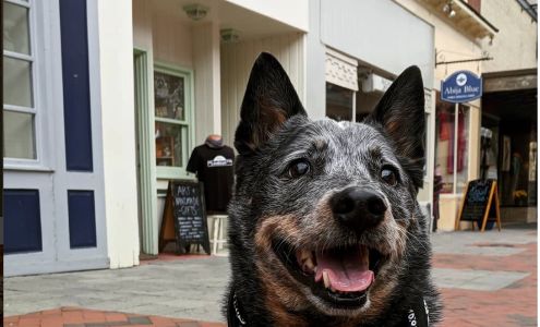 Tin Top Art & Handmade