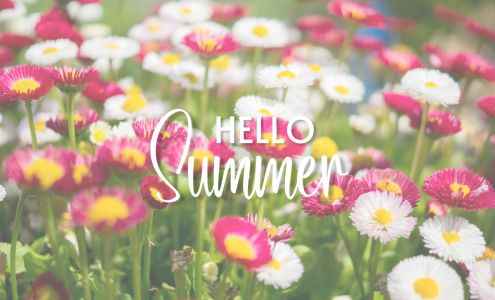 Prairie Friends & Flowers