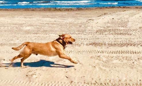 Huntfield 1073 Weston Rd, Union Church Mississippi 39668