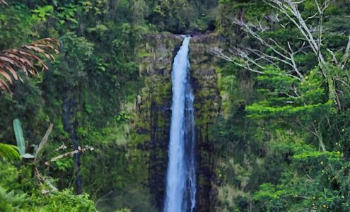Akaka Falls State Park Honomu