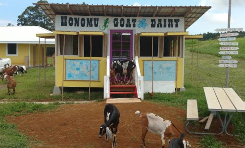 Honomu Goat Dairy Honomu