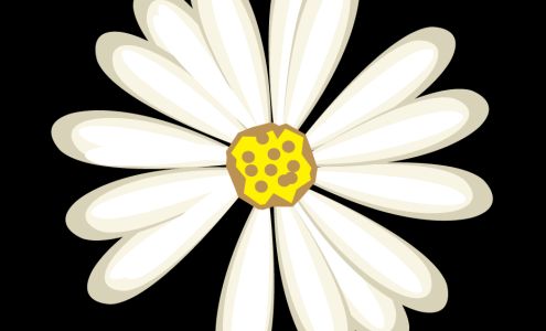 Imlay City Florist, LLC 144 E 3rd St Suite C, Imlay City Michigan 48444