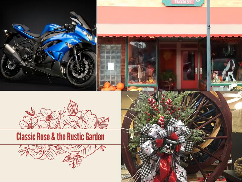 Classic Rose & the Rustic Garden